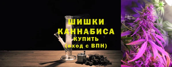 тгк Бородино