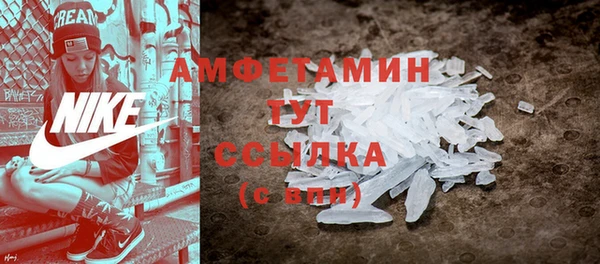 тгк Бородино