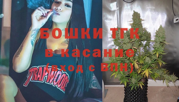 тгк Бородино