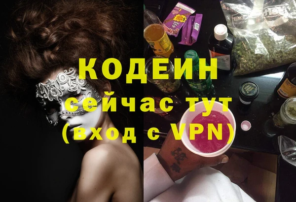 тгк Бородино