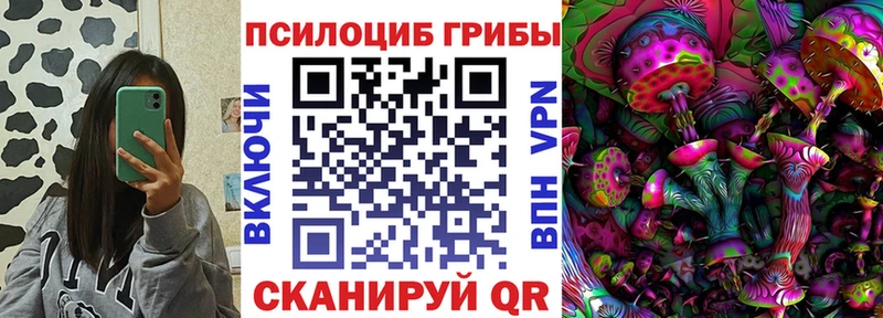 Галлюциногенные грибы Psilocybine cubensis  Тамбов 